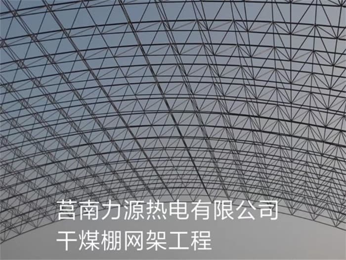 洛阳力源热电有限公司干煤棚网架工程